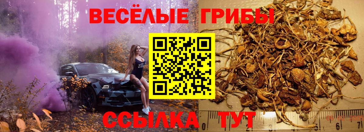 Псилоцибиновые грибы GOLDEN TEACHER  Псилоцибиновые грибы MAGIC MUSHROOMS  Вход с VPN  Дмитров 